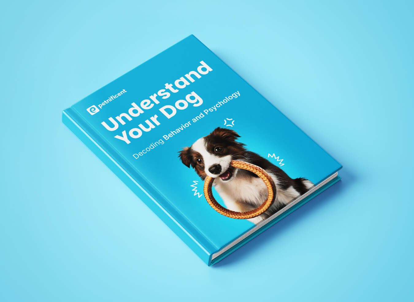 Understand Your Dog Behavior Psychology Guide