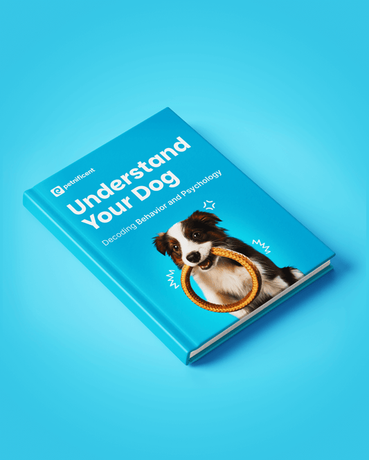 Understand Your Dog