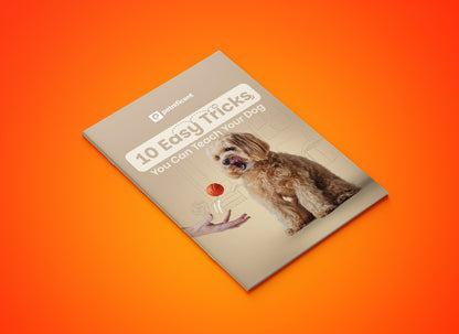 Petnificent Bundle