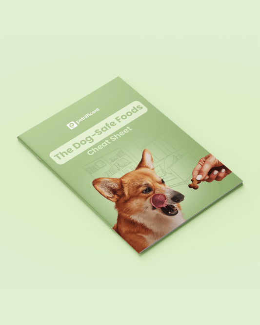 The Dog Safe Foods