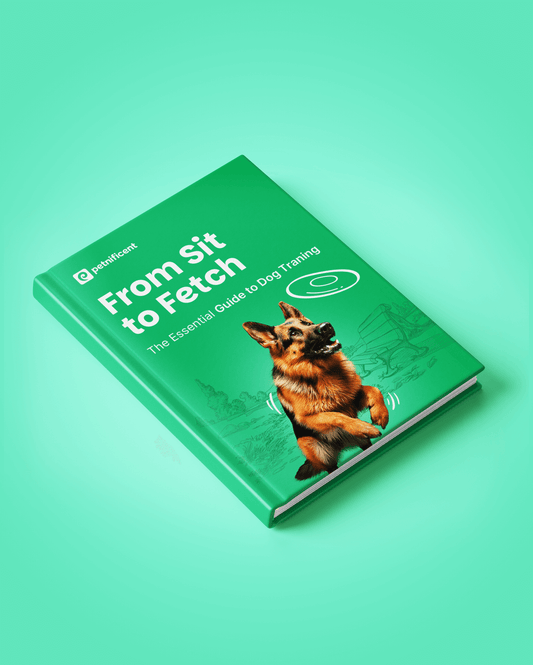 From Sit to Fetch