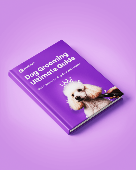 Dog Grooming Ultimate Guide