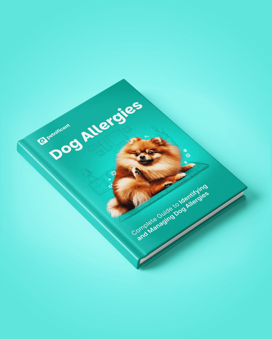 Dog Allergies