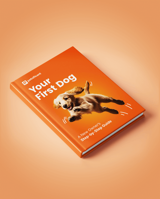 Your First Dog
