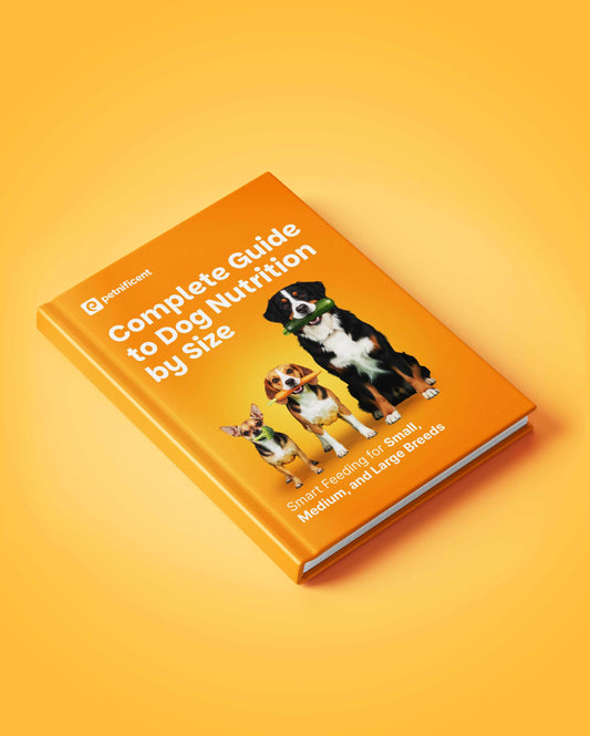 Complete Guide to Dog Nutrition