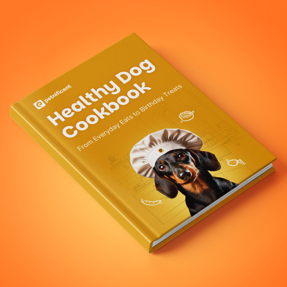 Healthy Dog Nutrition Bundle