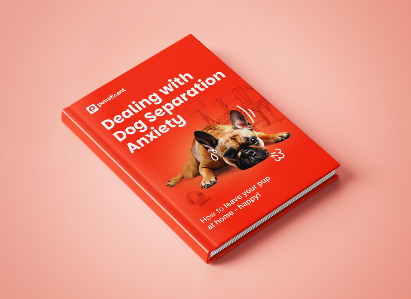 Dealing with Dog Separation Anxiety