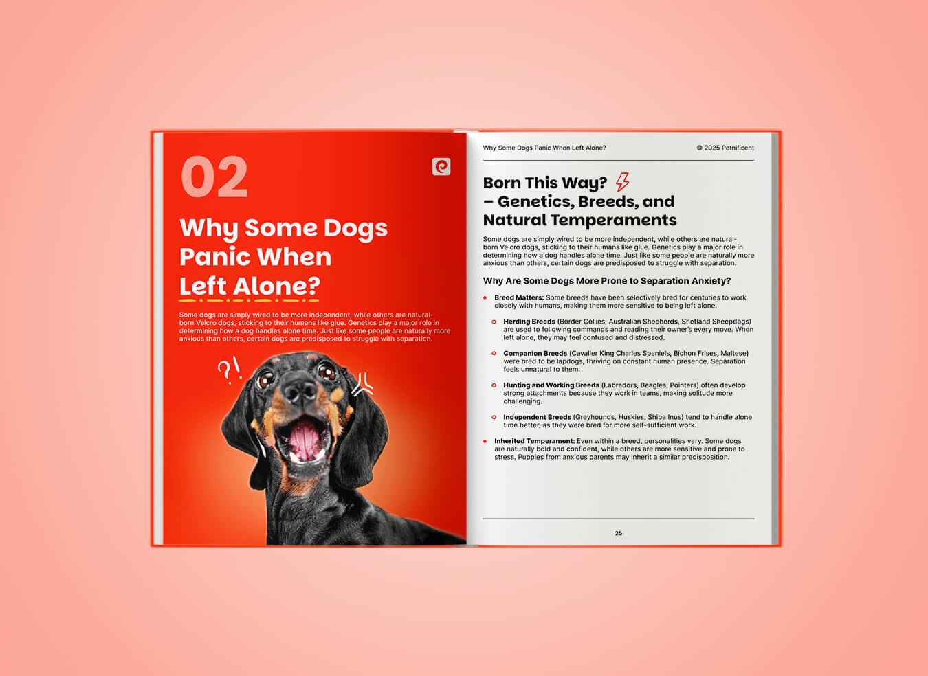 Dealing with Dog Separation Anxiety