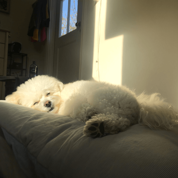 Millie