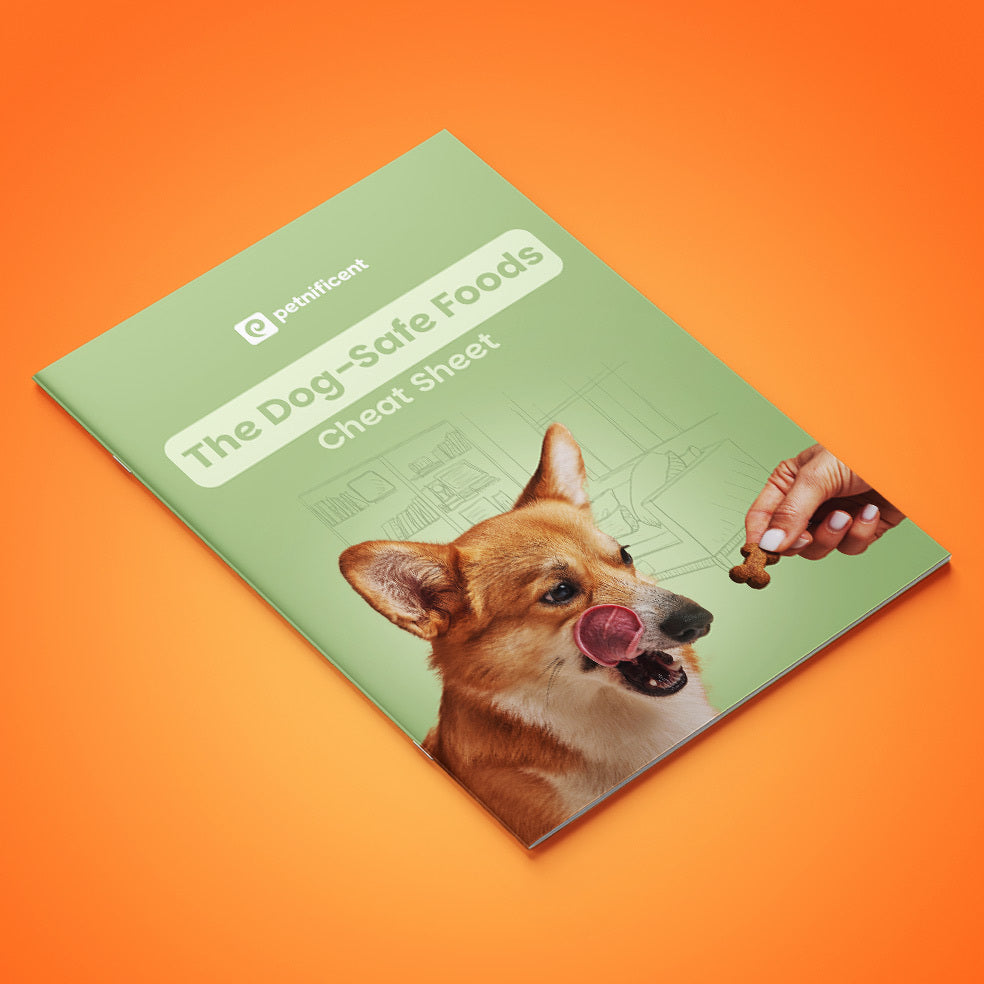 Healthy Dog Nutrition Bundle