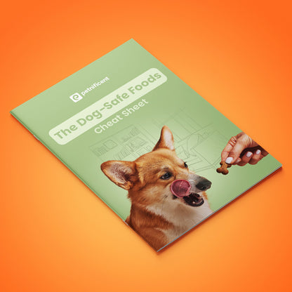 Healthy Dog Nutrition Bundle