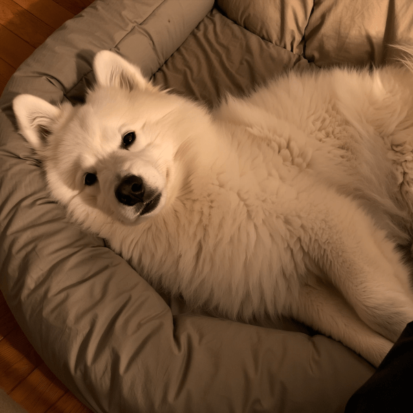 Kairo