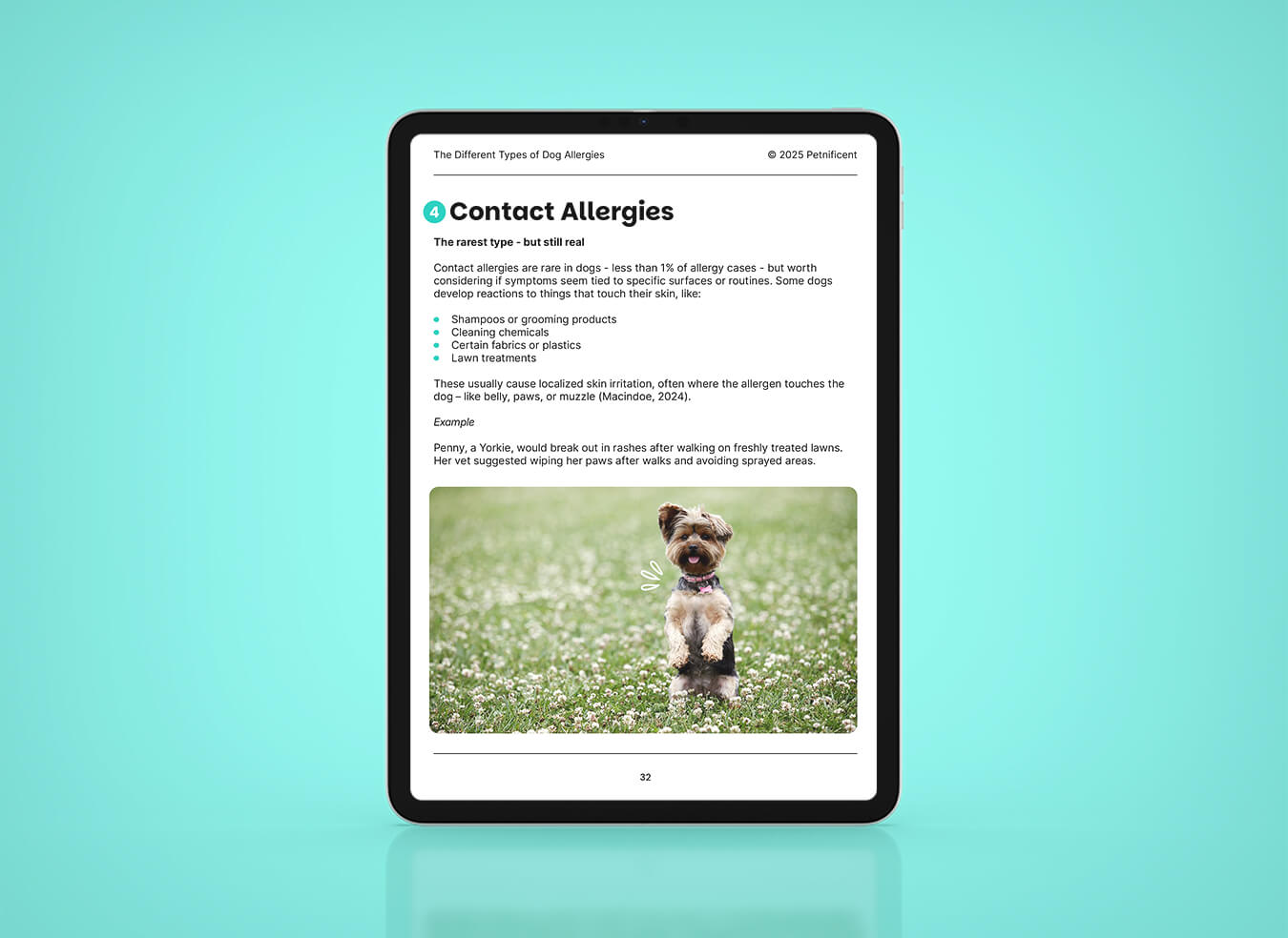 Dog Allergies