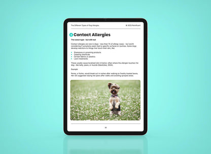 Dog Allergies
