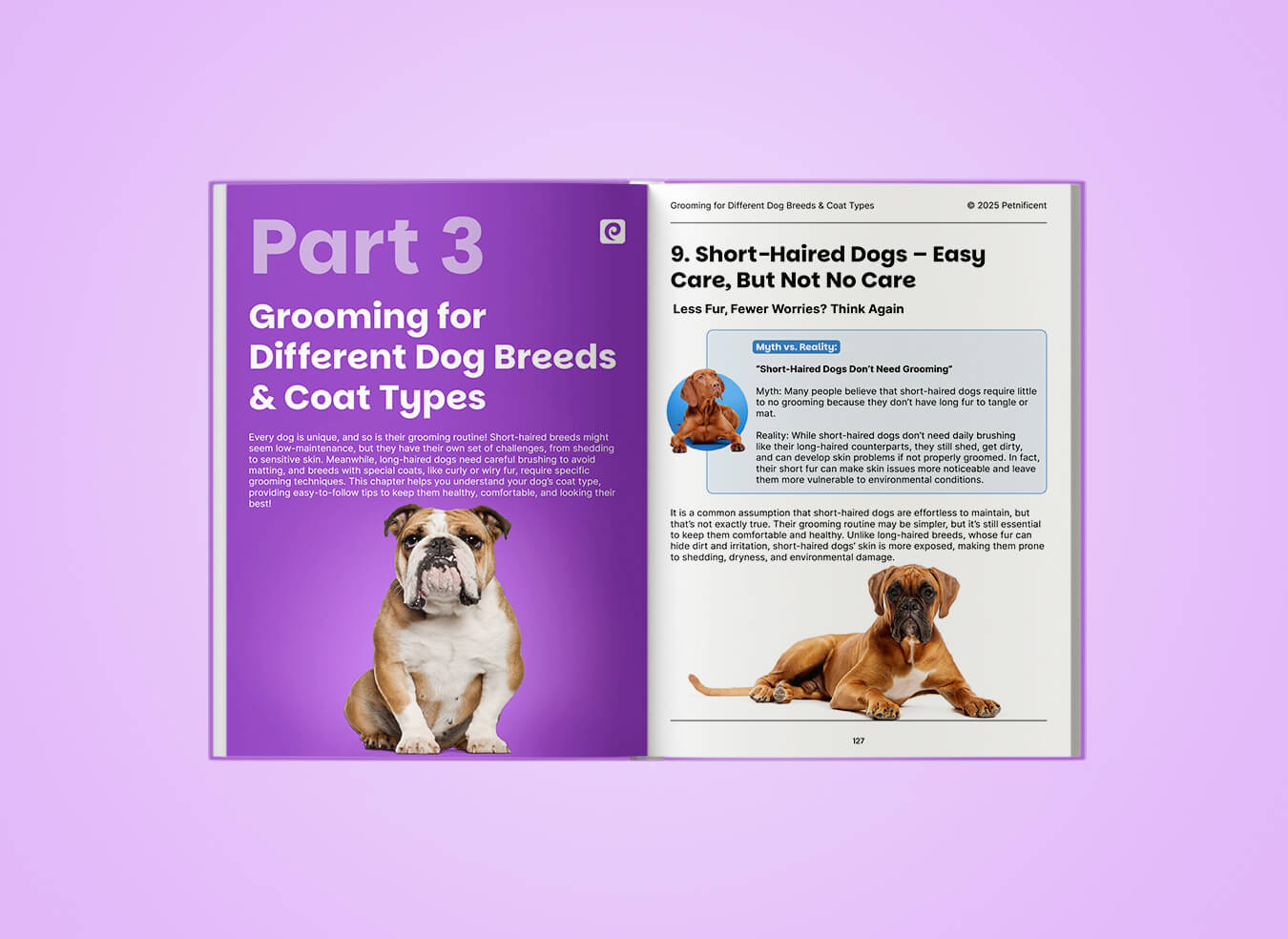 Dog Grooming Ultimate Guide