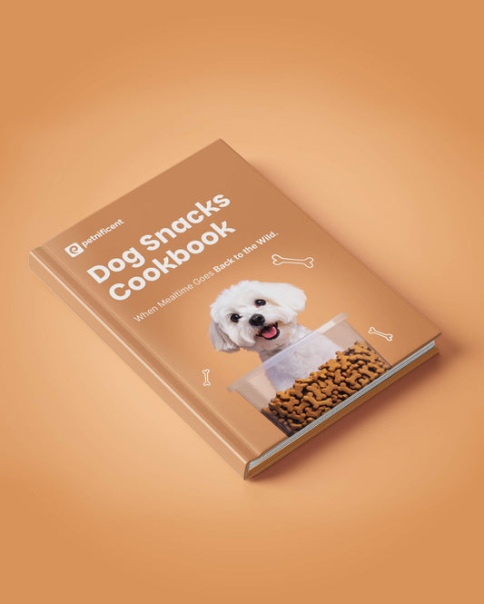 Dog Snacks Cookbook