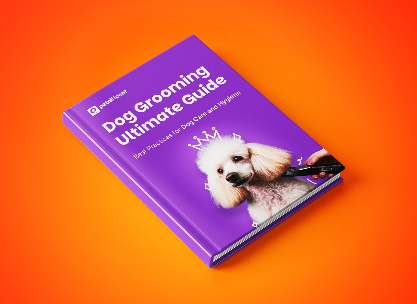 Petnificent Bundle