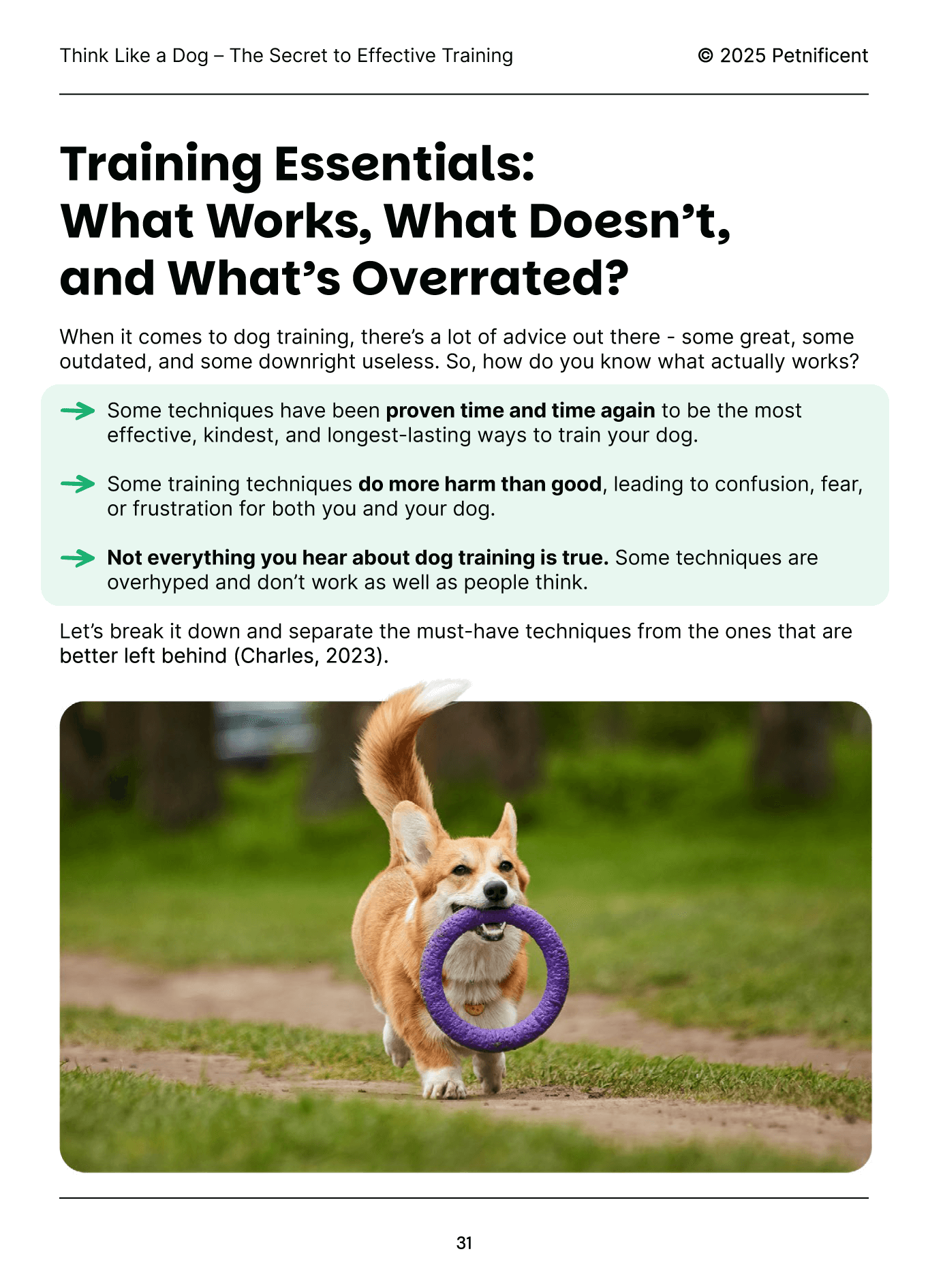 Slide 3