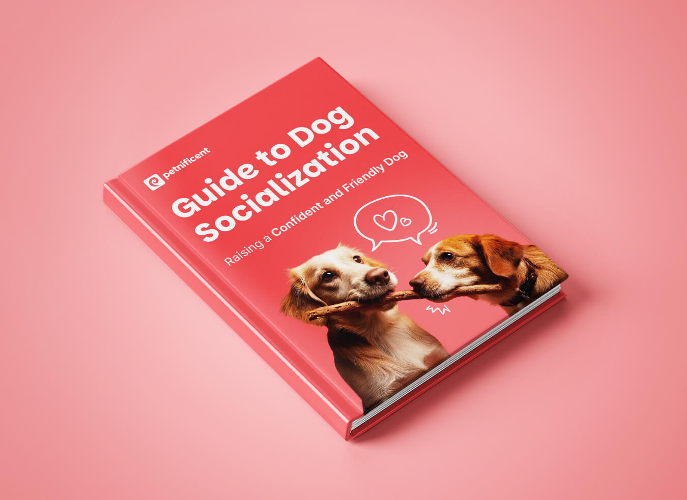 Guide to Dog Socialization