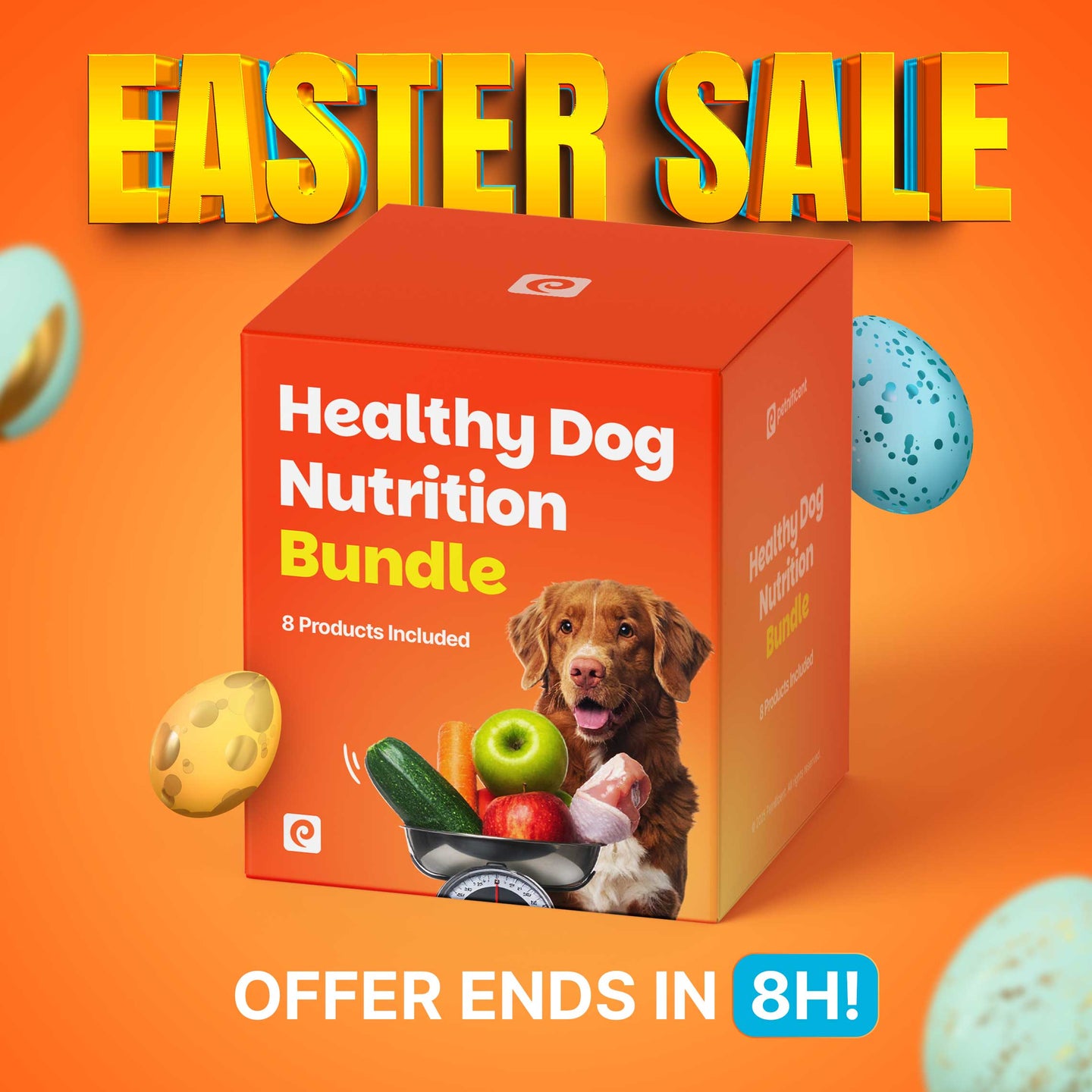 Healthy Dog Nutrition Bundle