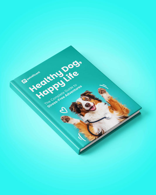 Healthy Dog - Happy Life