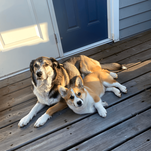Clover & Benny