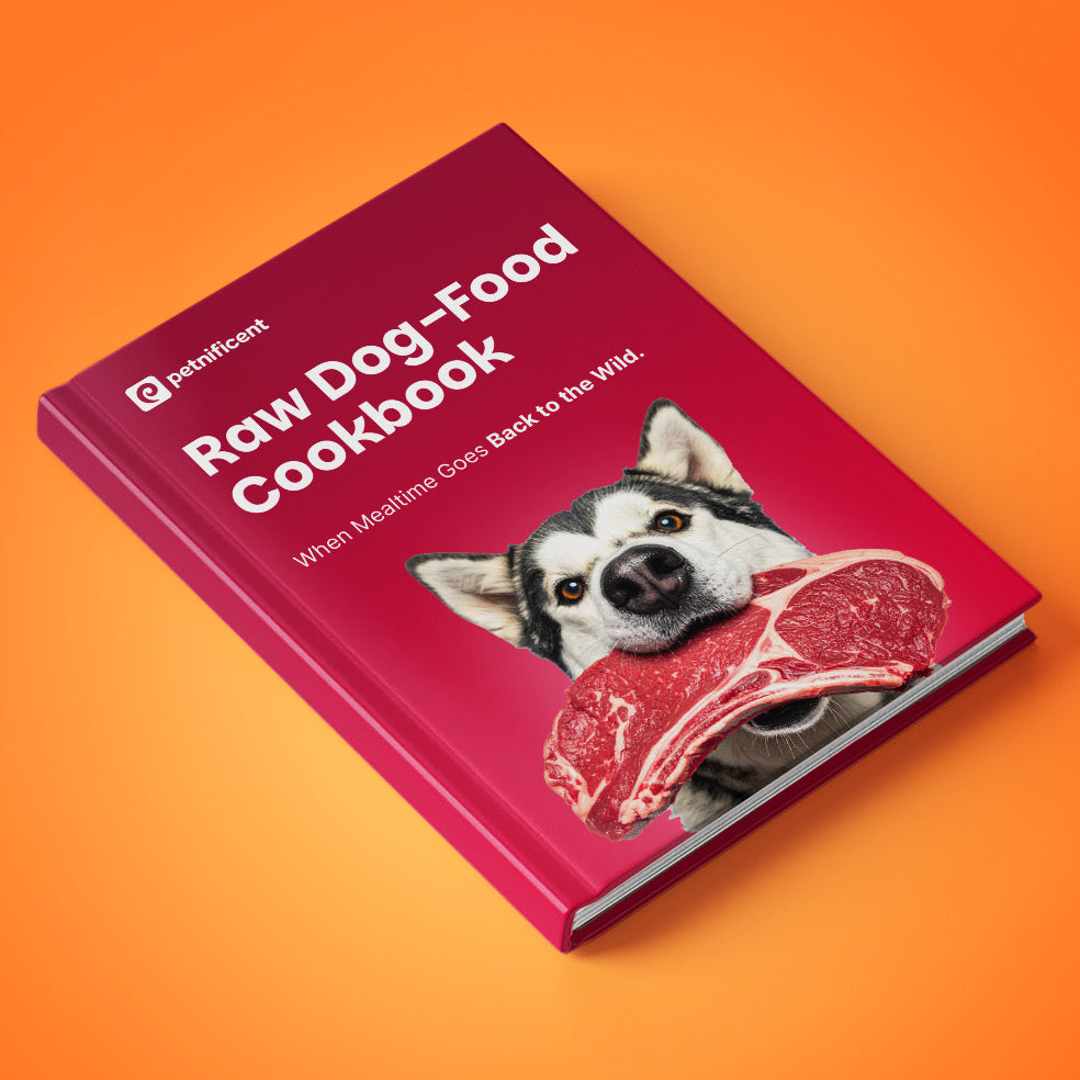 Healthy Dog Nutrition Bundle