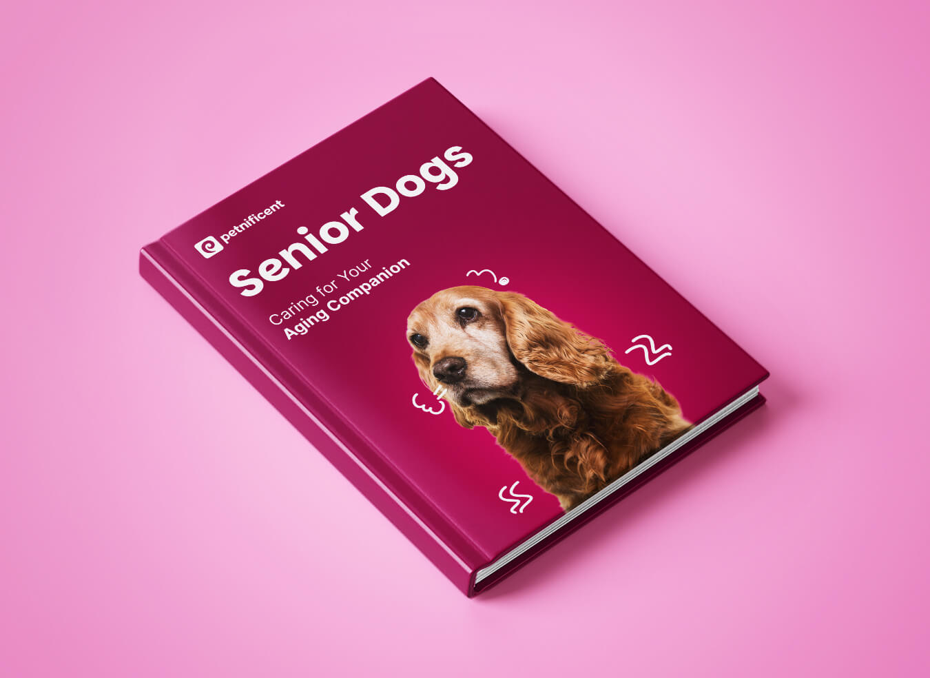 Senior Dogs