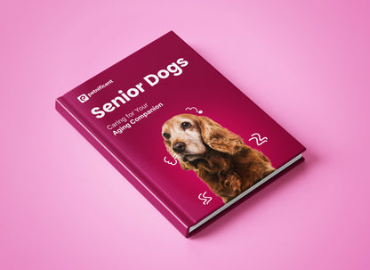 Senior Dogs