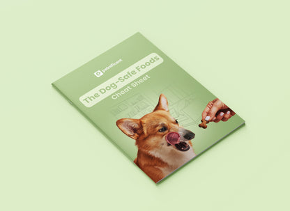 The Dog Safe Foods
