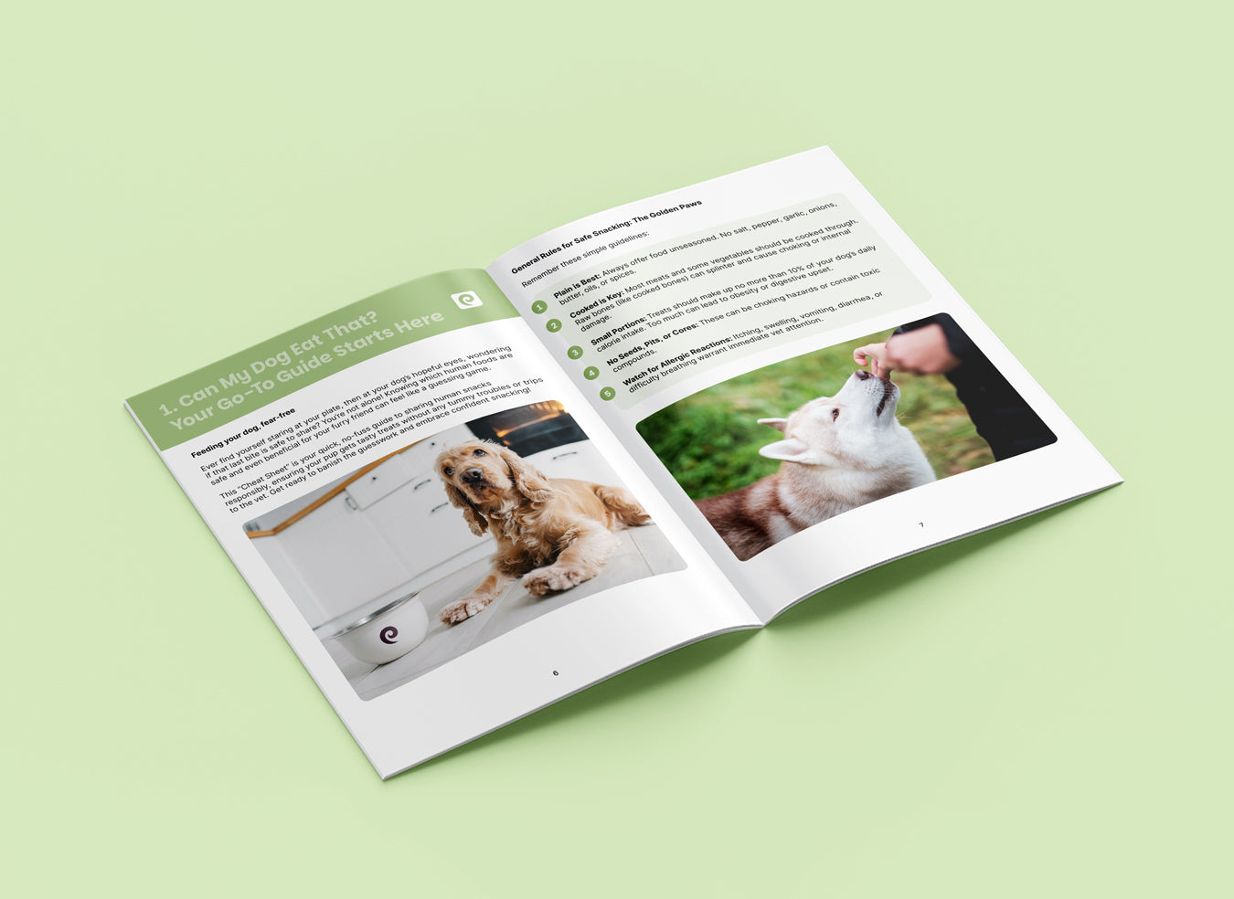 The Dog Safe Foods