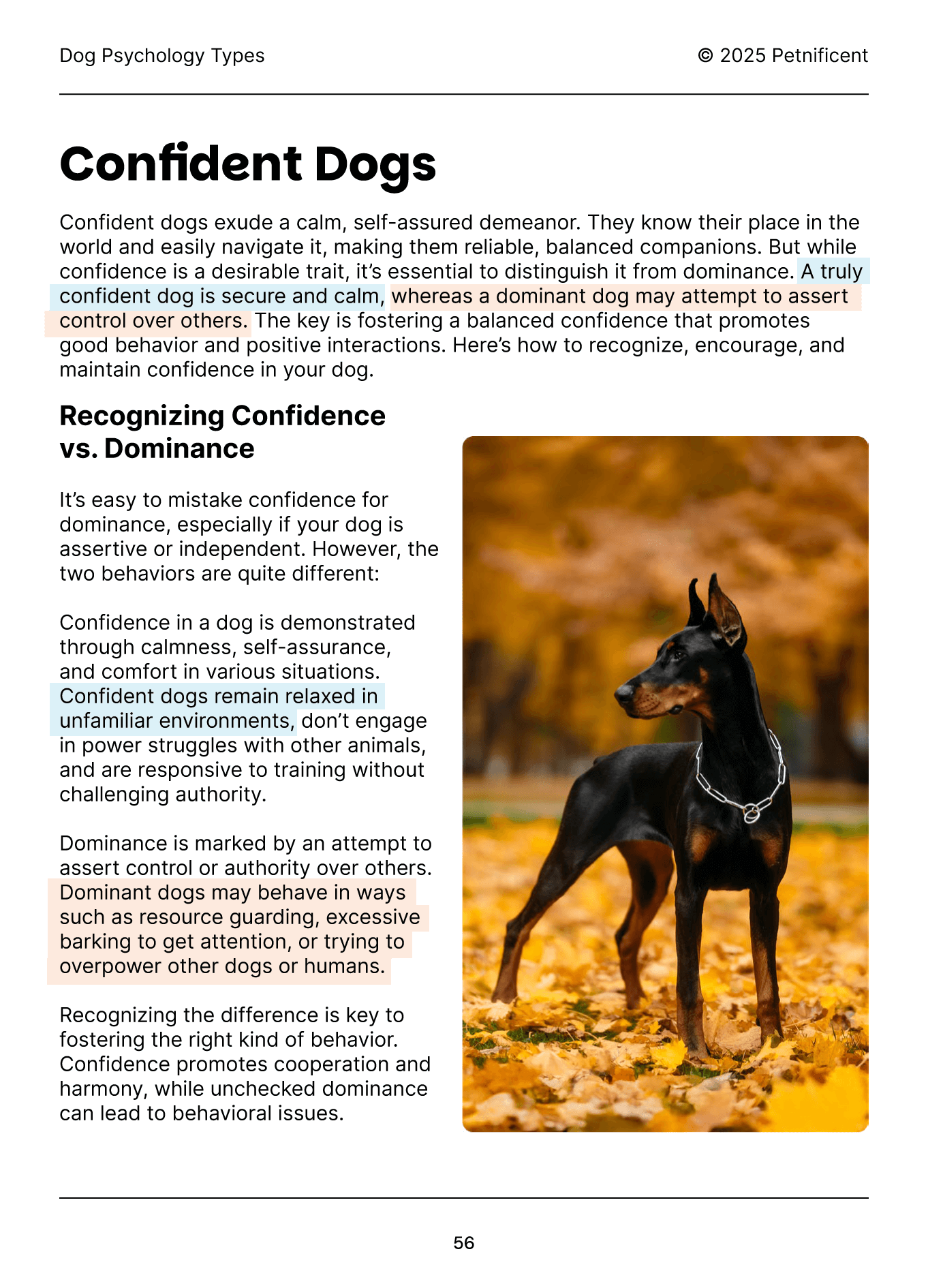 Slide 6